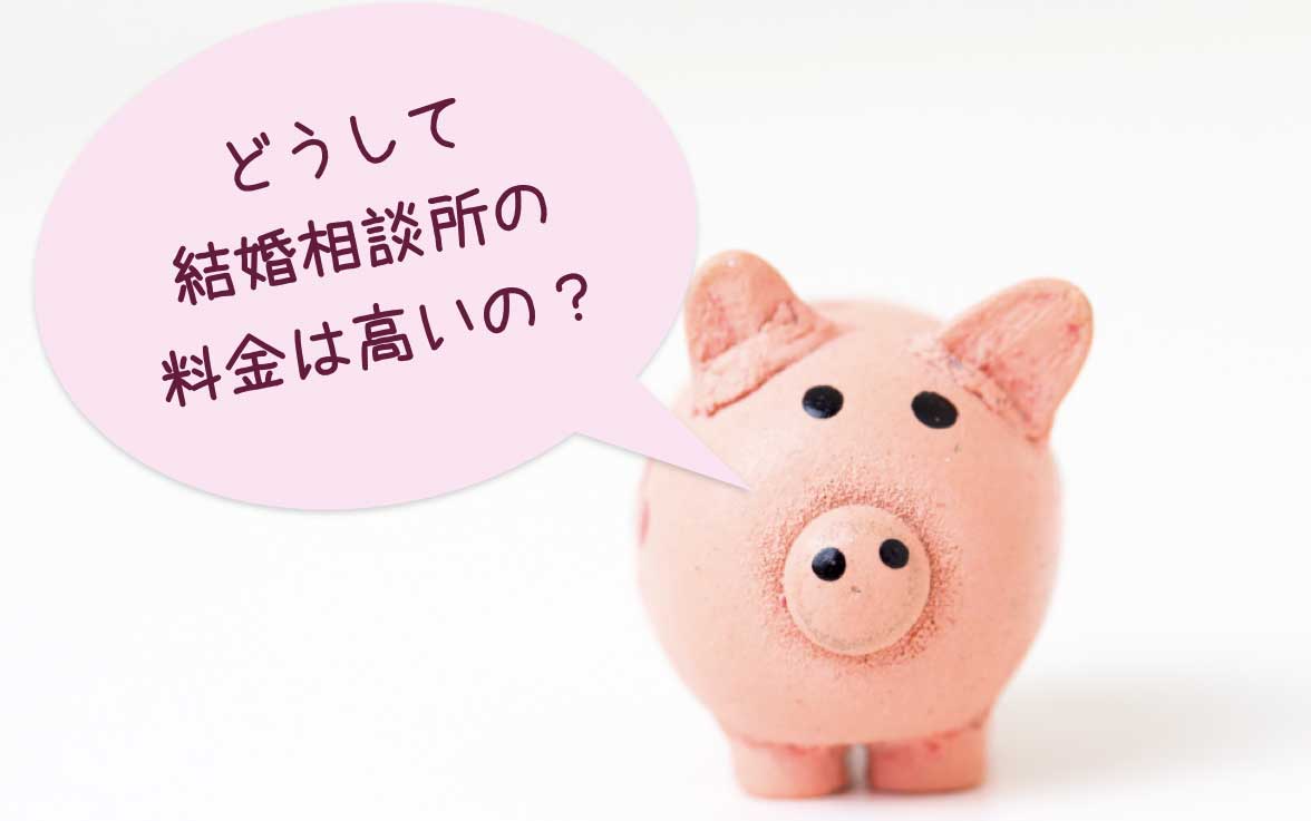 結婚できない_料金高い